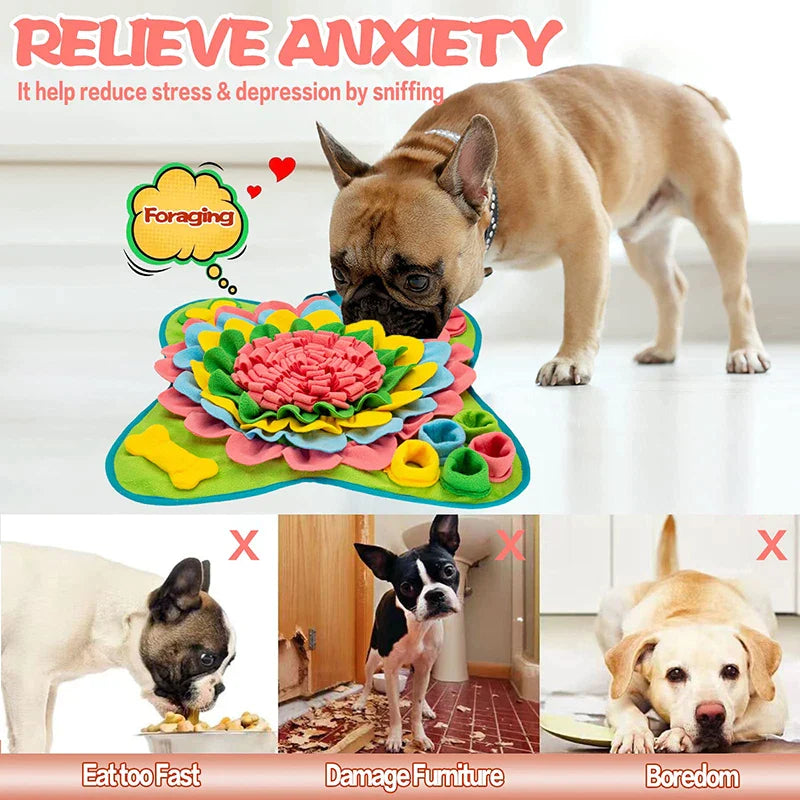 Cute Durable Pet Puzzle Snuffle Pad