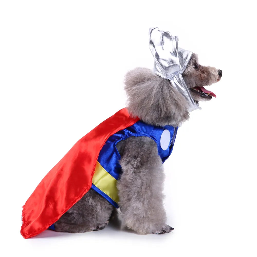 Halloween Pet Thunder God Costume