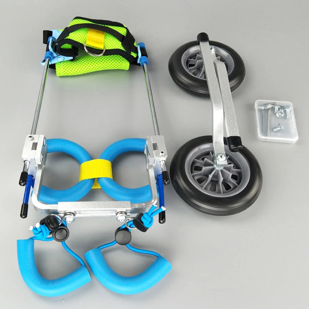 Two Wheels Pet Assistance Wheelchair