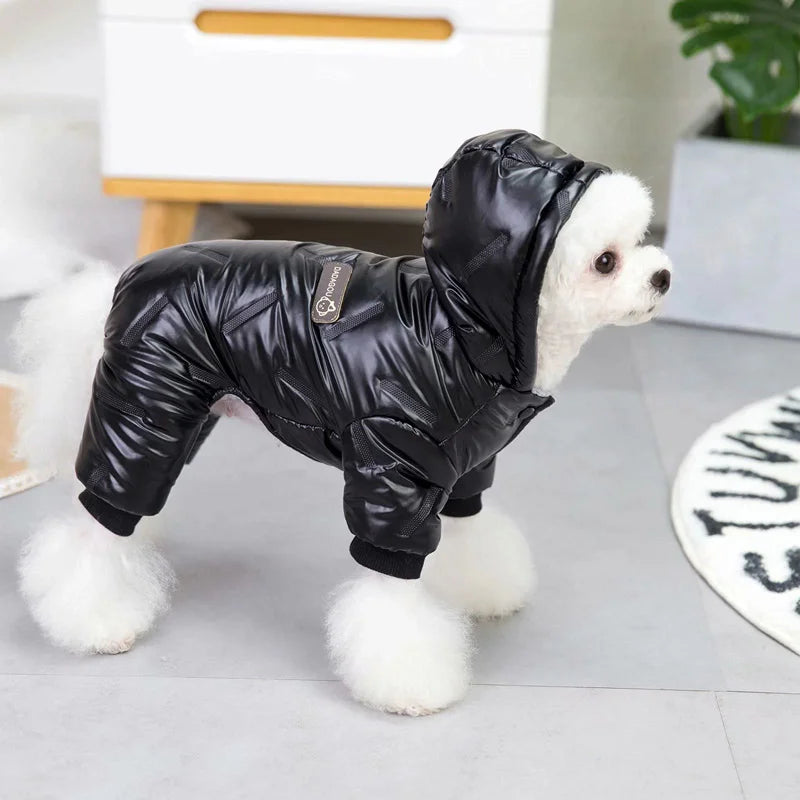 Winter Hooded Dog Down Jackets