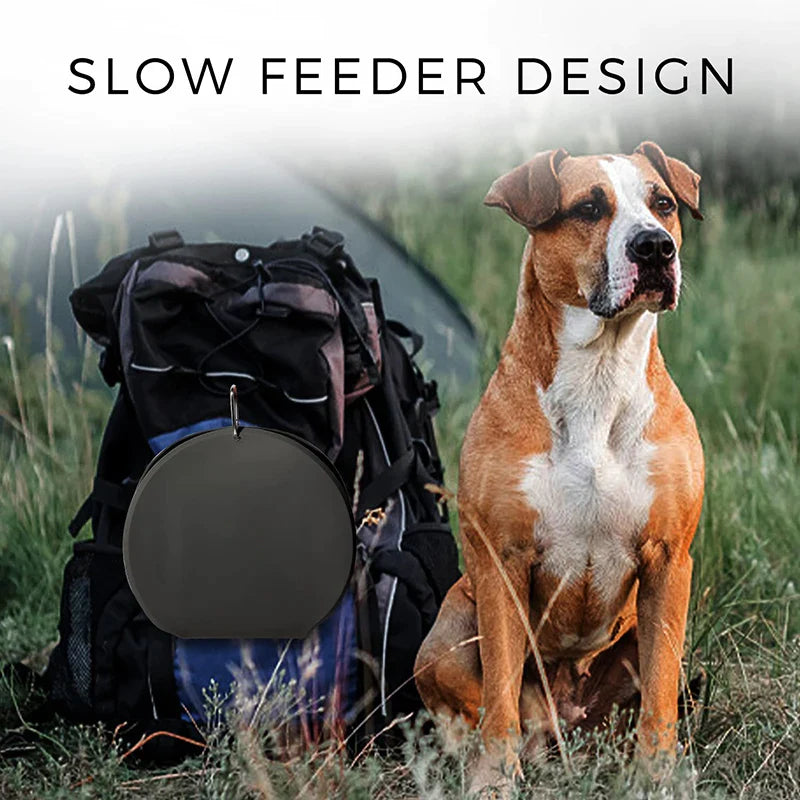 No-Spill Portable Double Dog Bowl