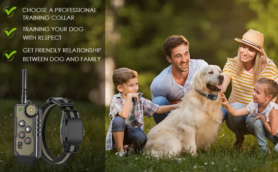 4 Modes Vibration Dog Training Collar