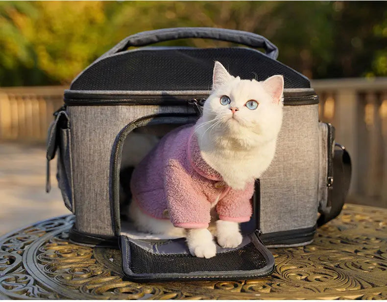 Traveling Mesh Collapsible Pet Carrier Bag