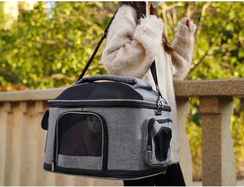 Traveling Mesh Collapsible Pet Carrier Bag