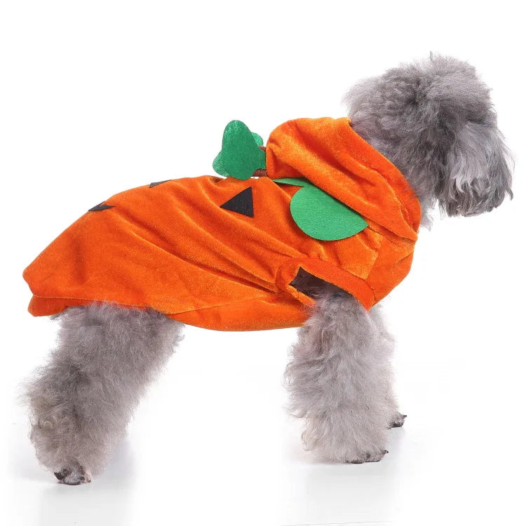 Funny Orange Pumpkin Dog Costume