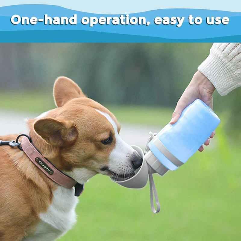 Portable Dog Foldable Water Dispenser