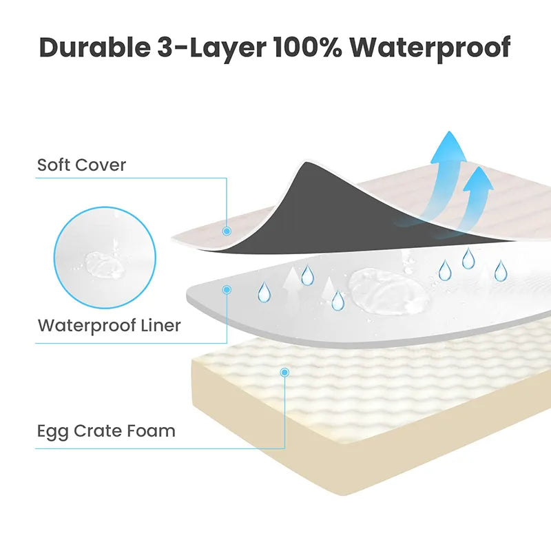 Soft Orthopedic Dog Foam Bed