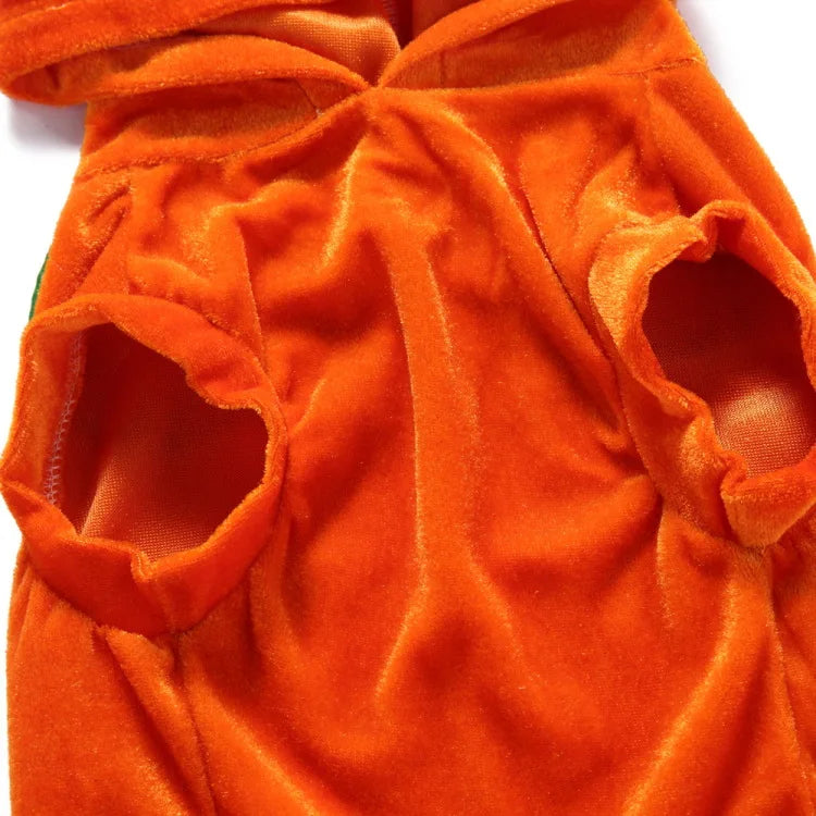 Funny Orange Pumpkin Dog Costume