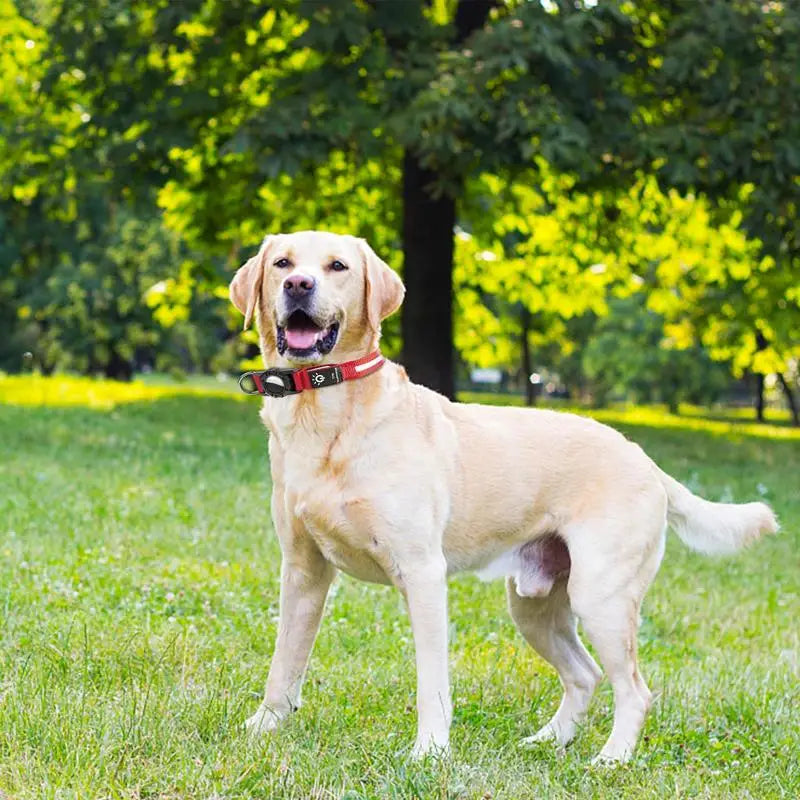 Waterproof LED AirTag Dog Collar