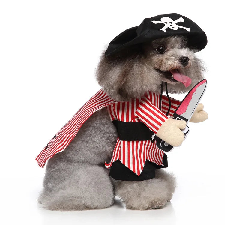 Funny Pirate Dog Costume