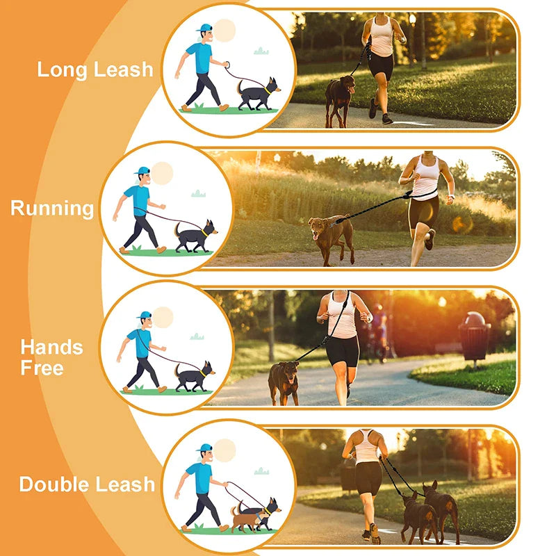 Multifunctional Hands Free Dog Lead