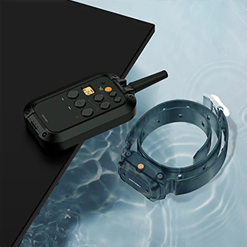 2 Channels Waterproof Training Collar