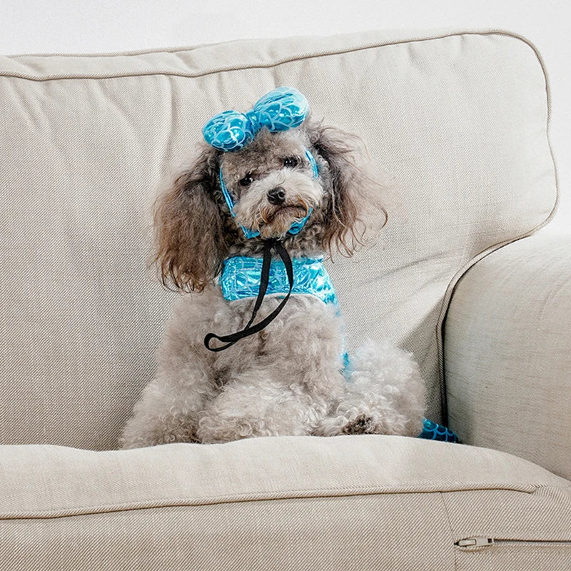 Halloween Funny Mermaid Dog Costume