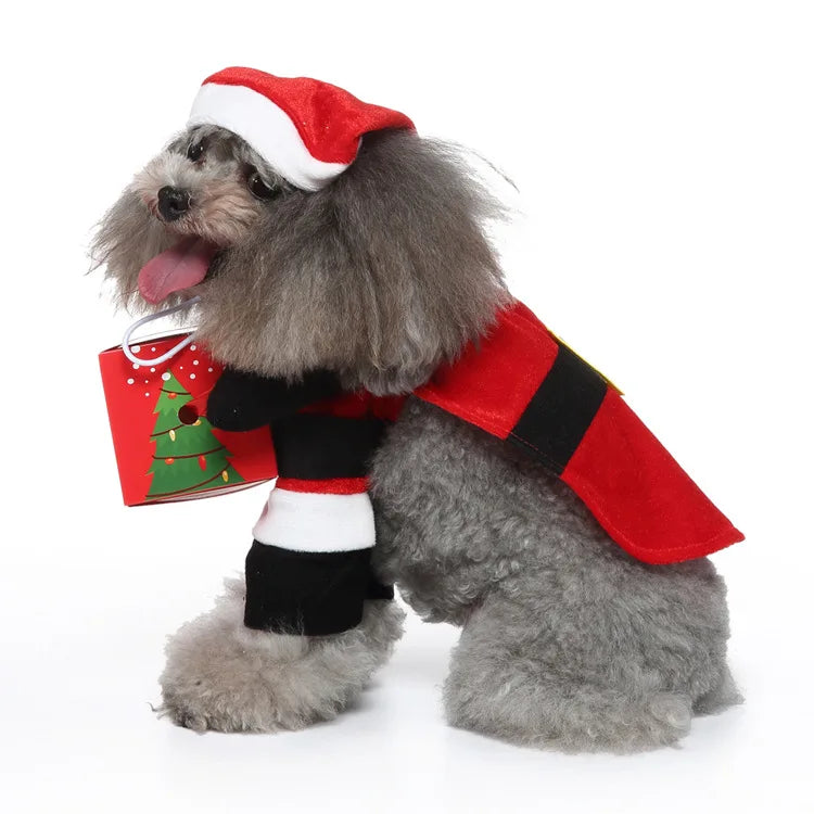 Funny Santa Dog Costume