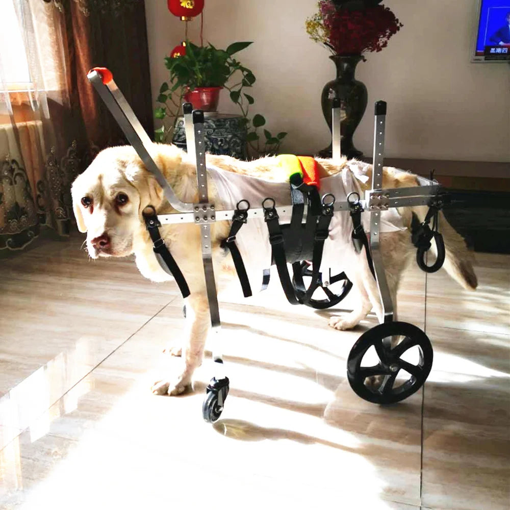Spinal Support Dog Wheelchair