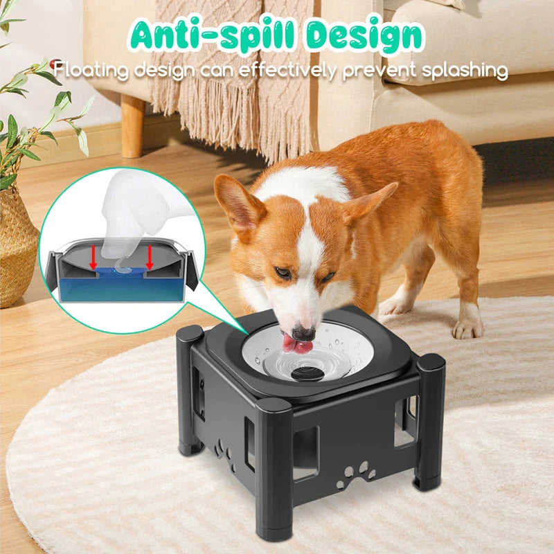 Elevated 3 Height Pet Water Bowl