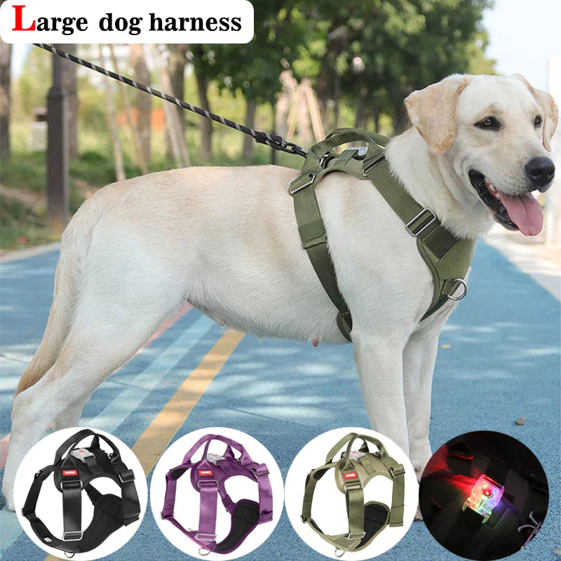Explosion Proof Big Dog Harness With Led Light