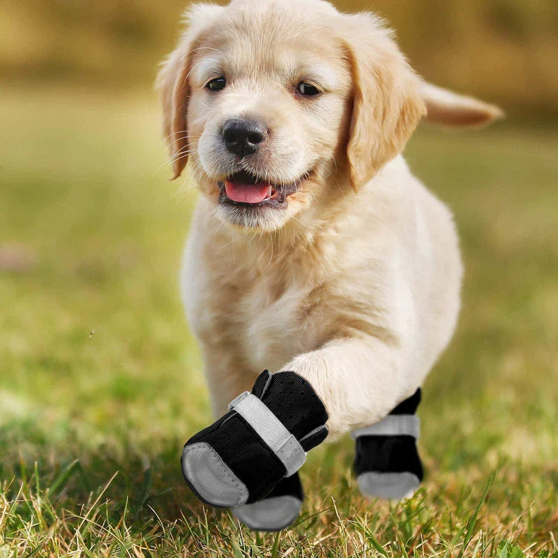 Waterproof Sole Breathable Dog Shoes