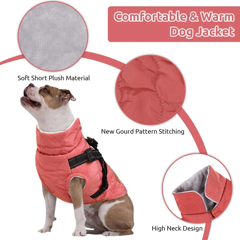 Turtleneck Dog Jacket With Harness