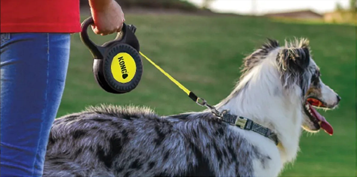 KONG Retractable Reflective Dog Leash