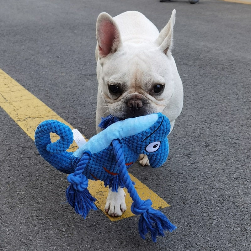 Ultra Tough Chameleon Dog Toy