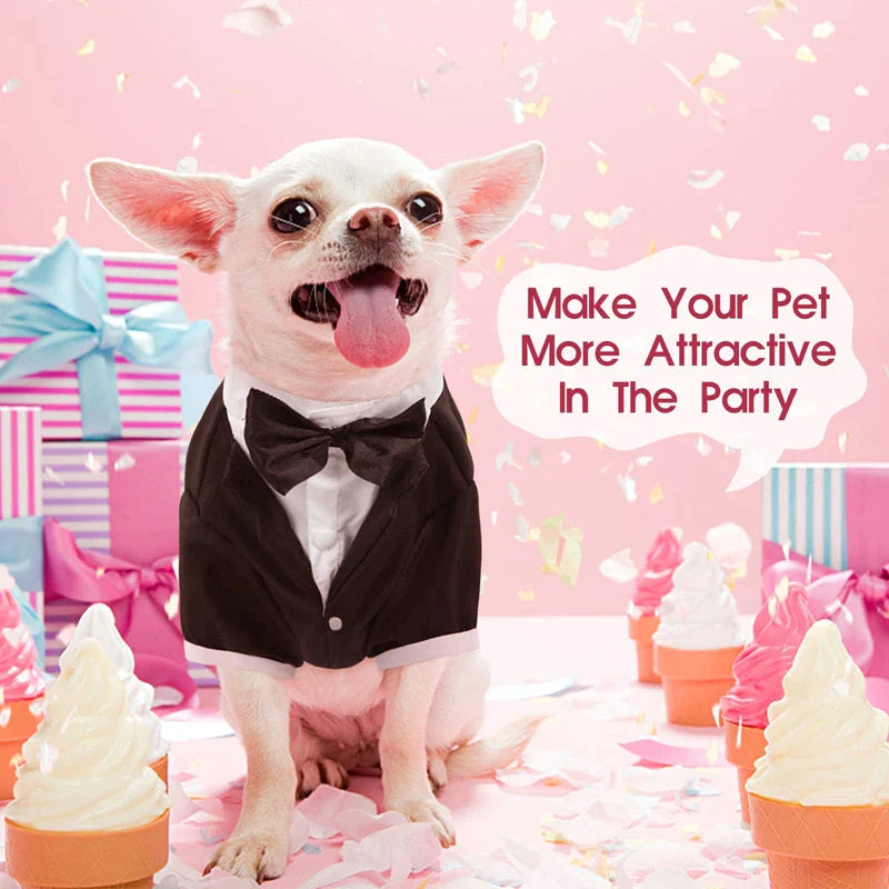 Stylish Dog Black Tie Tuxedo