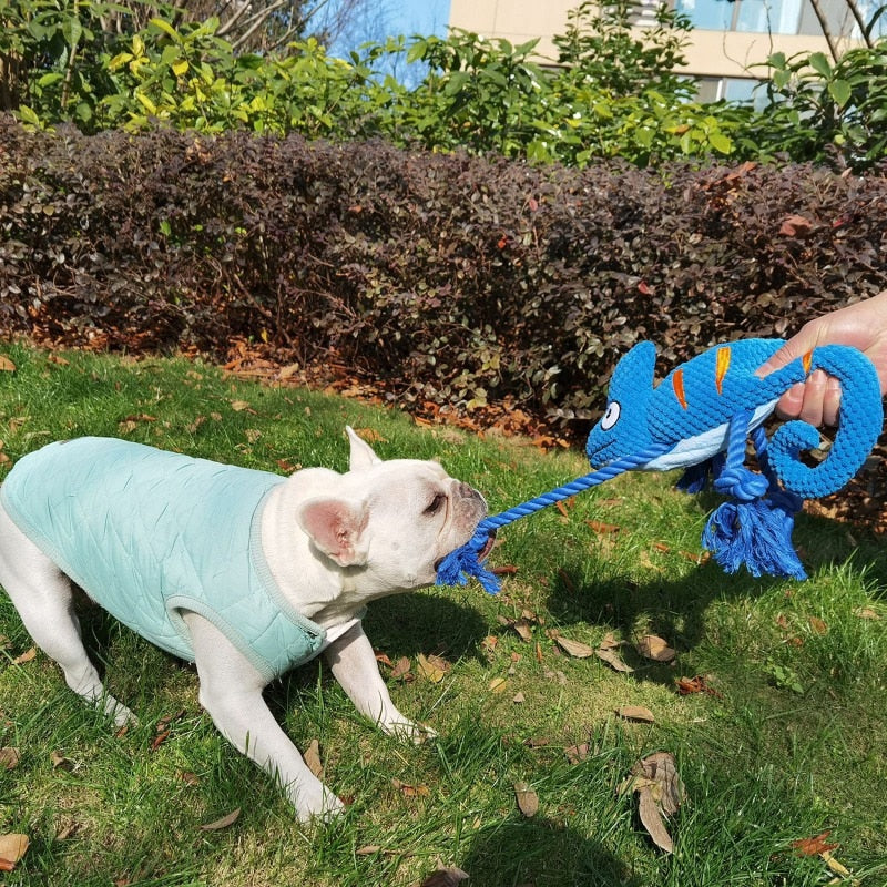 Ultra Tough Chameleon Dog Toy