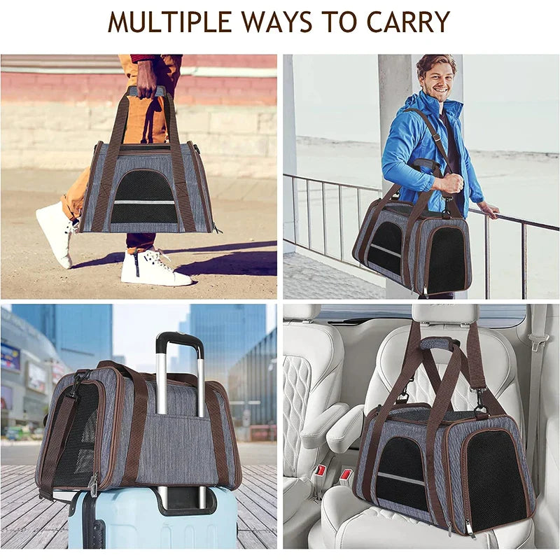 Lightweight Breathable Mesh Window Pet Carrier