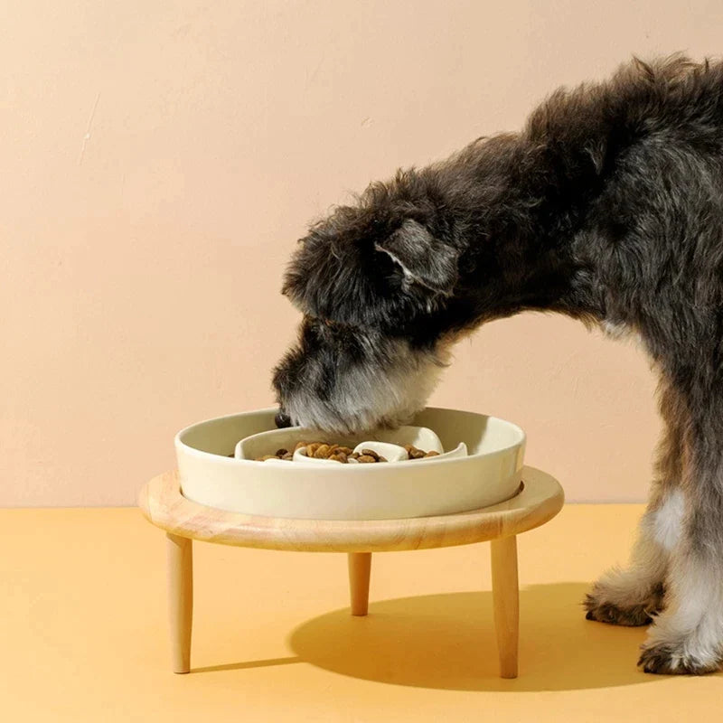 Ceramic Dog Slow Feeder Bowl With Wood Stand