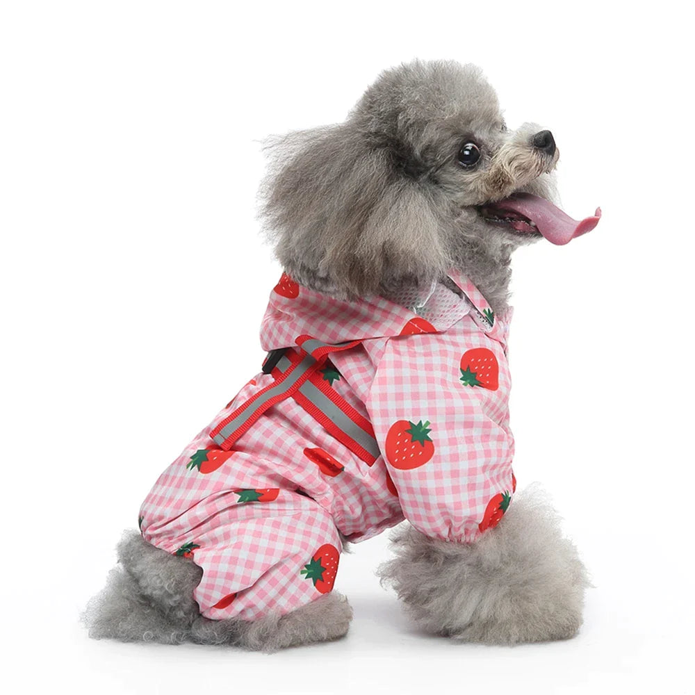 Fruit Print Waterproof Pet Raincoat