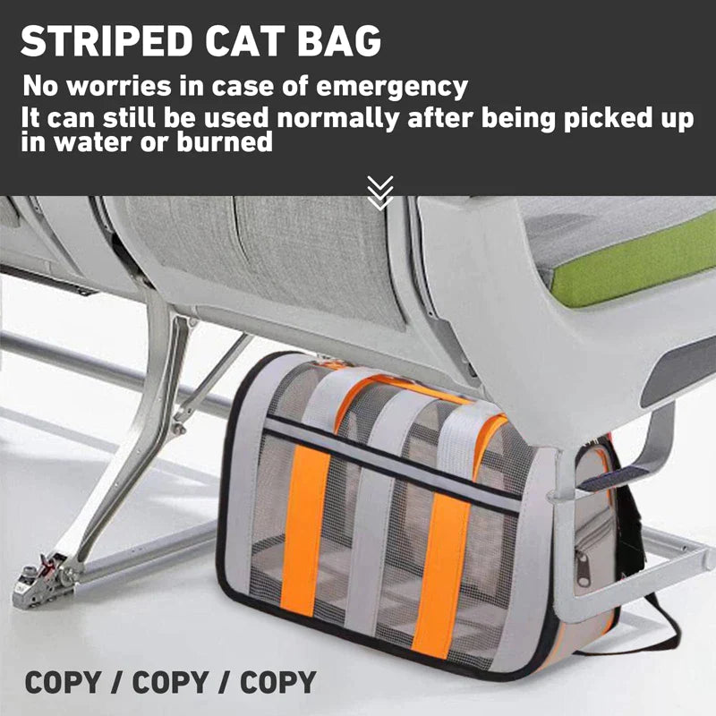 Outdoor Travel Collapsible Pet Carriers