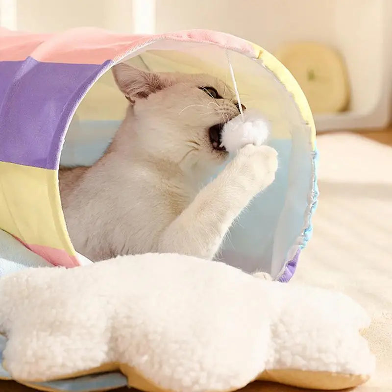 2 In 1 Rainbow Cat Maze & Tunnel