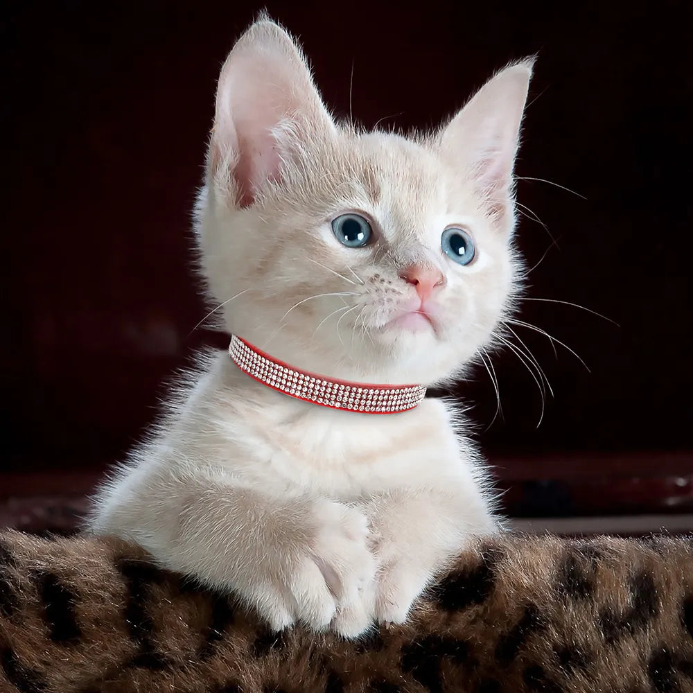 Soft Suede Leather Cat Bling Collars