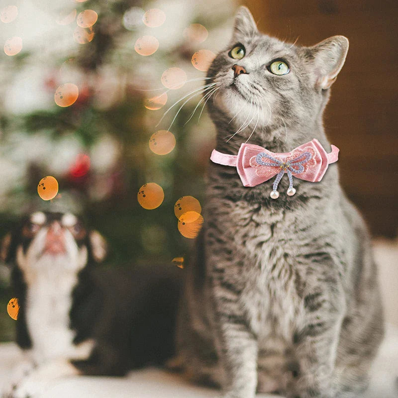 Cute Girl Cat Collar With Bowtie