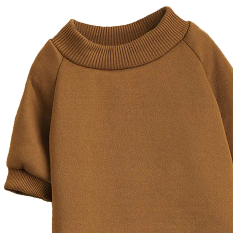 Autumn Small Dog Knitwear
