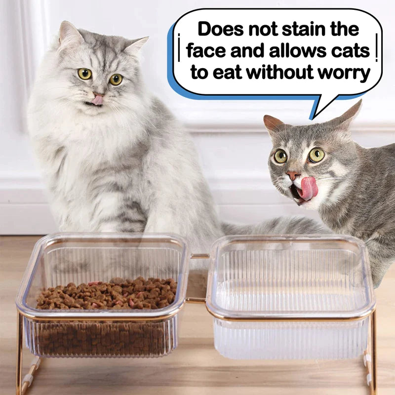 Transparent Elevated Double Pet Bowls