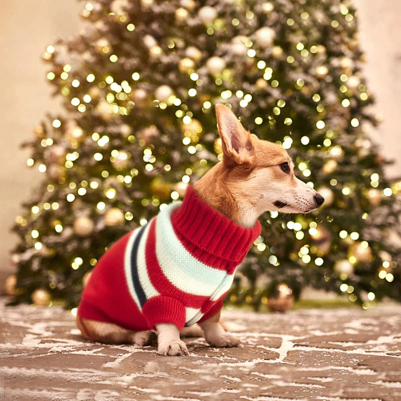 Turtleneck Striped Dog Sweaters