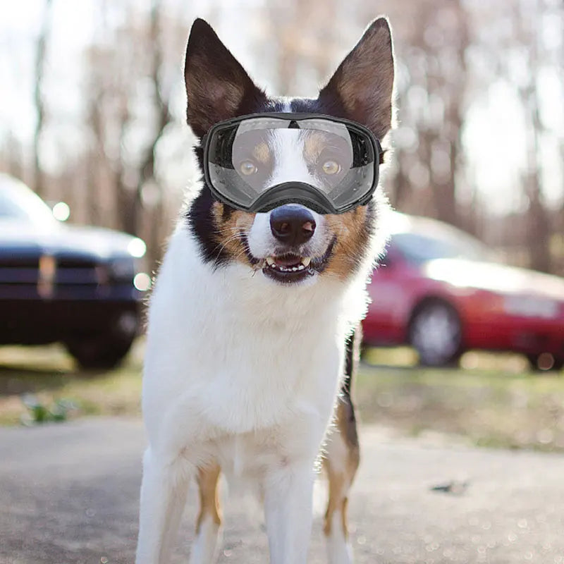 Windproof Uv Protection Dog Goggles