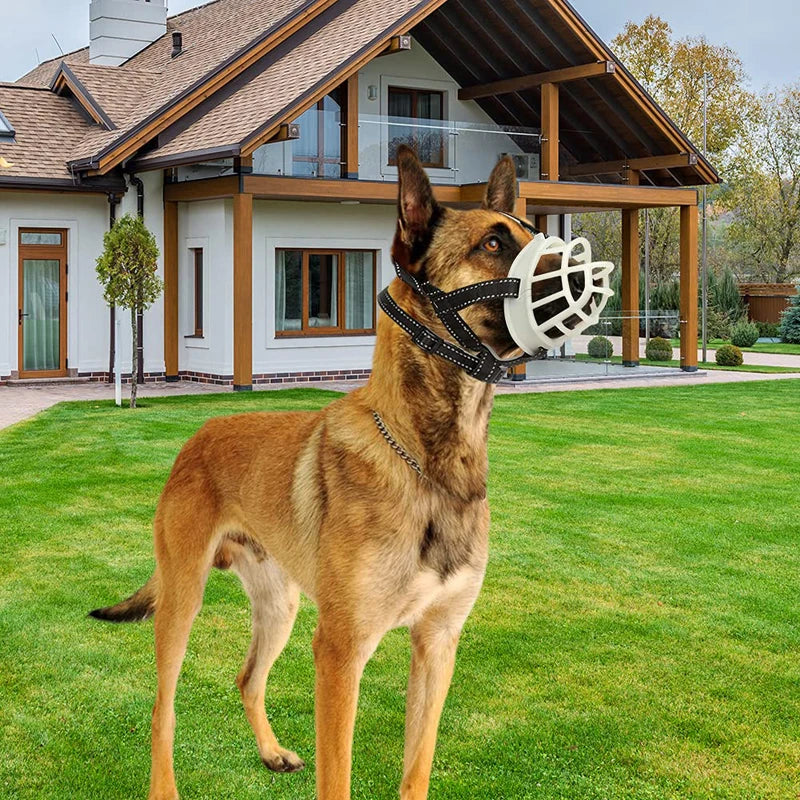 Fluorescence Adjustable Dog Muzzle