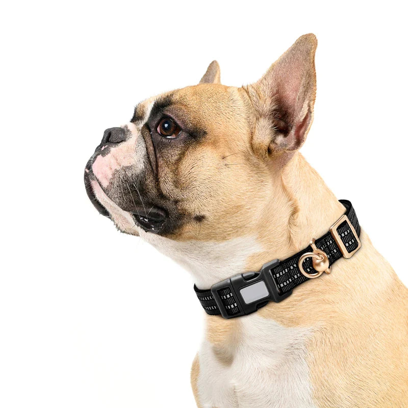 Heavy Duty Adjustable Metal D Ring Dog Collar