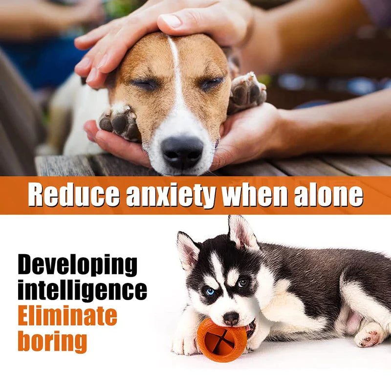 Bone Teething Tough Dog Toy