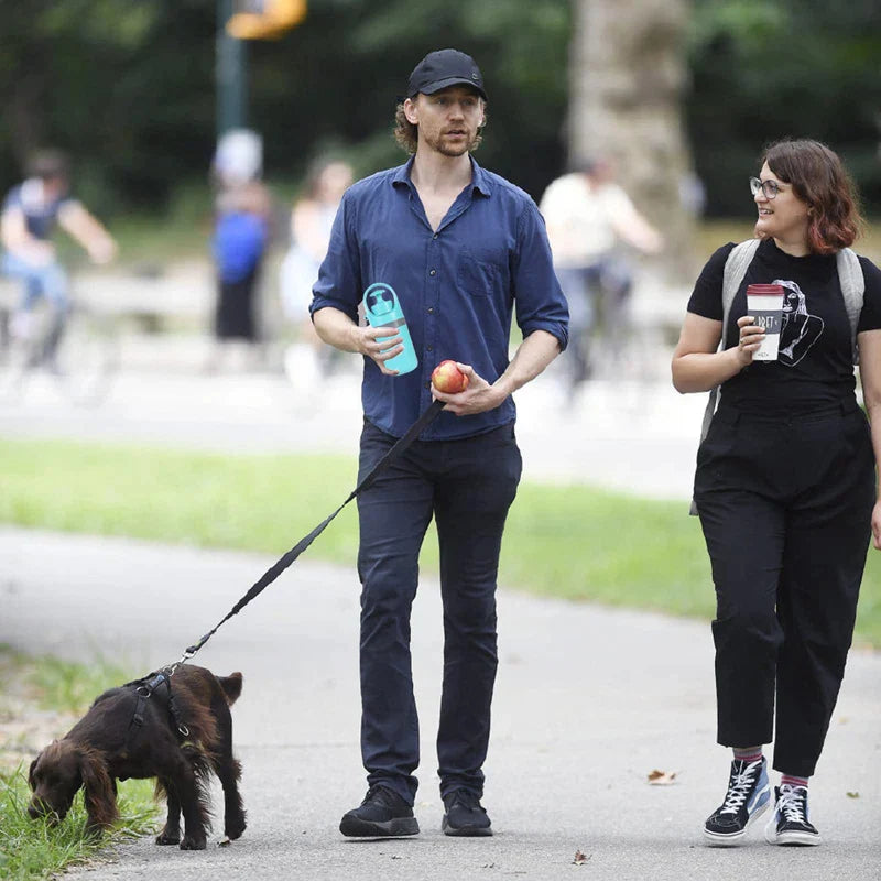 Portable No-Touch Dog Pooper Scooper