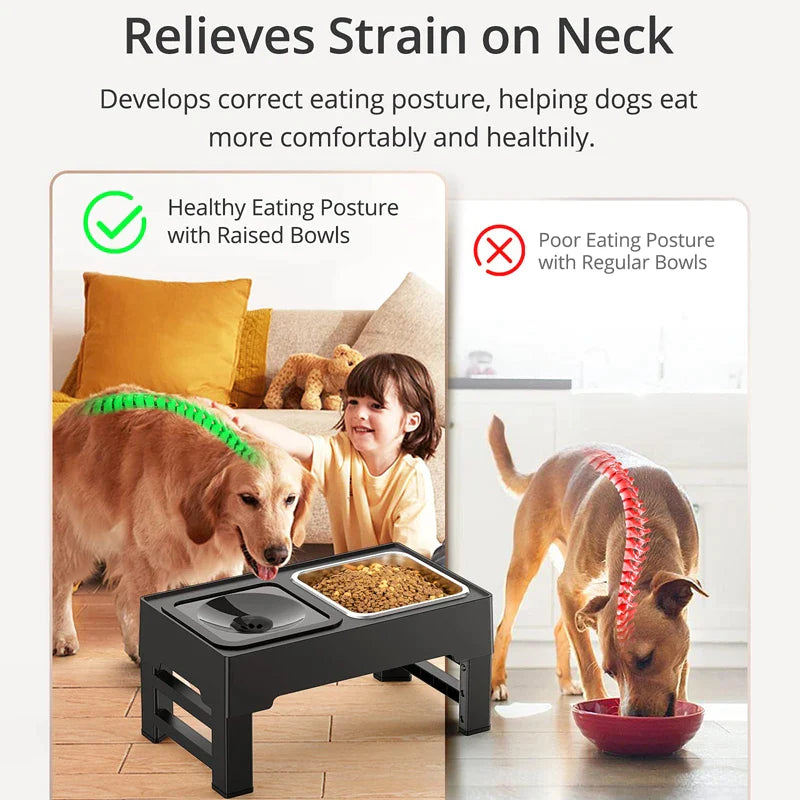 4 Levels Elevated Dog Bowls