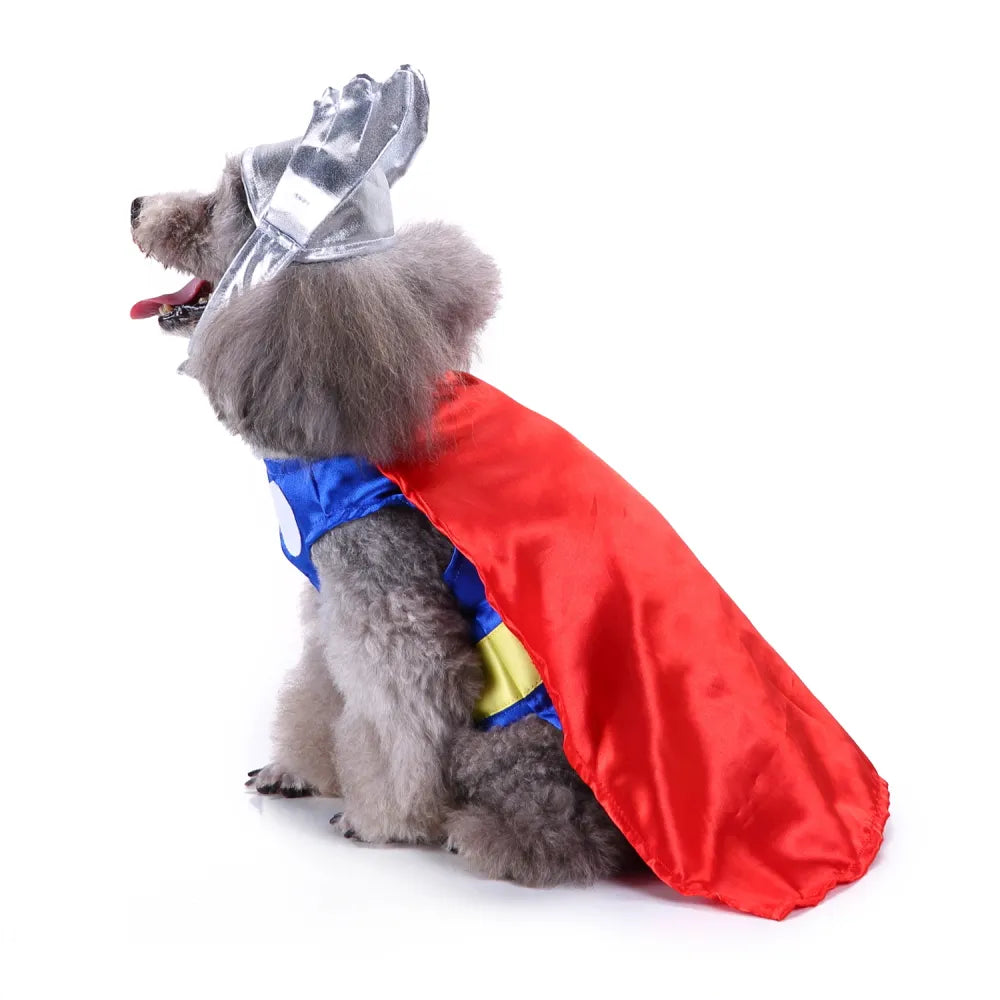 Halloween Pet Thunder God Costume