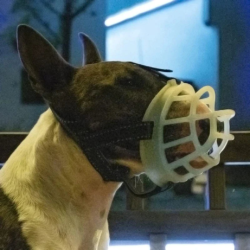 Fluorescence Adjustable Dog Muzzle