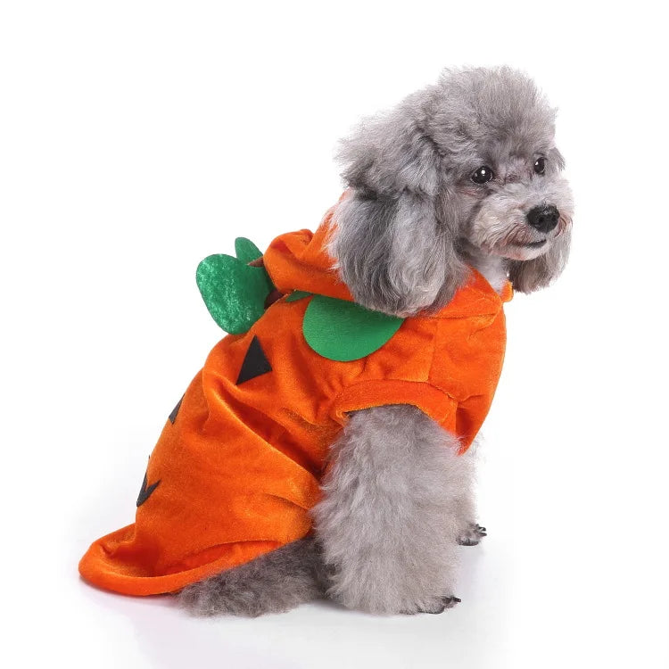Funny Orange Pumpkin Dog Costume