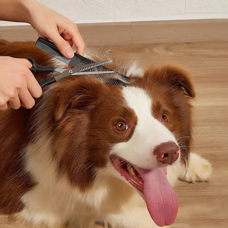 Durable Ergonomic Dog Grooming Scissors