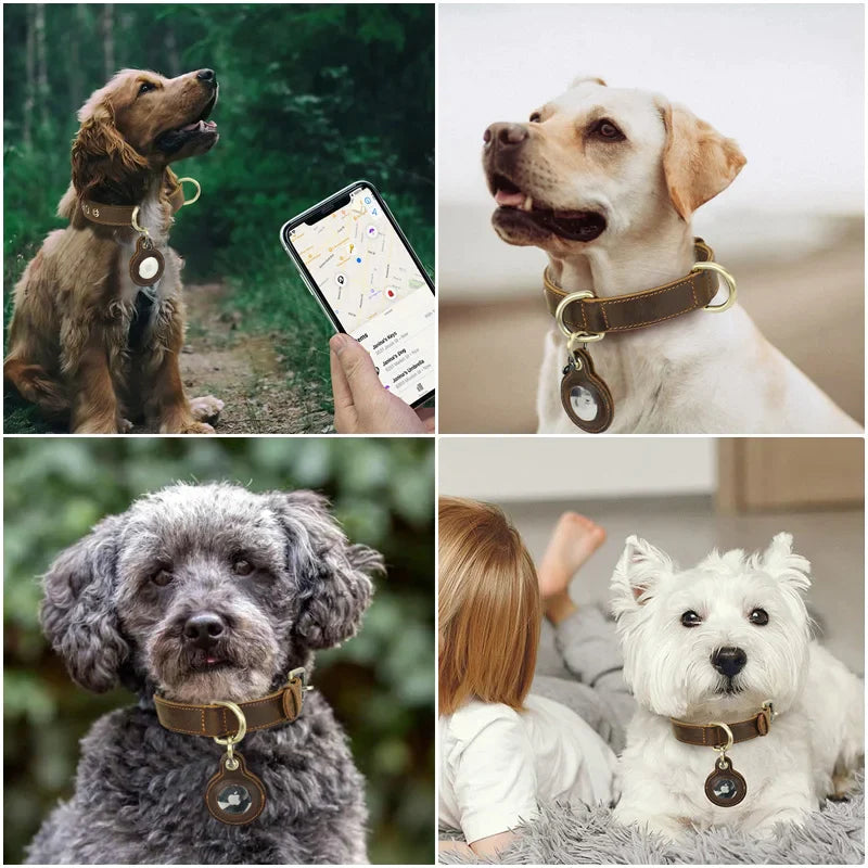 Genuine Leather Dog AirTag Collar