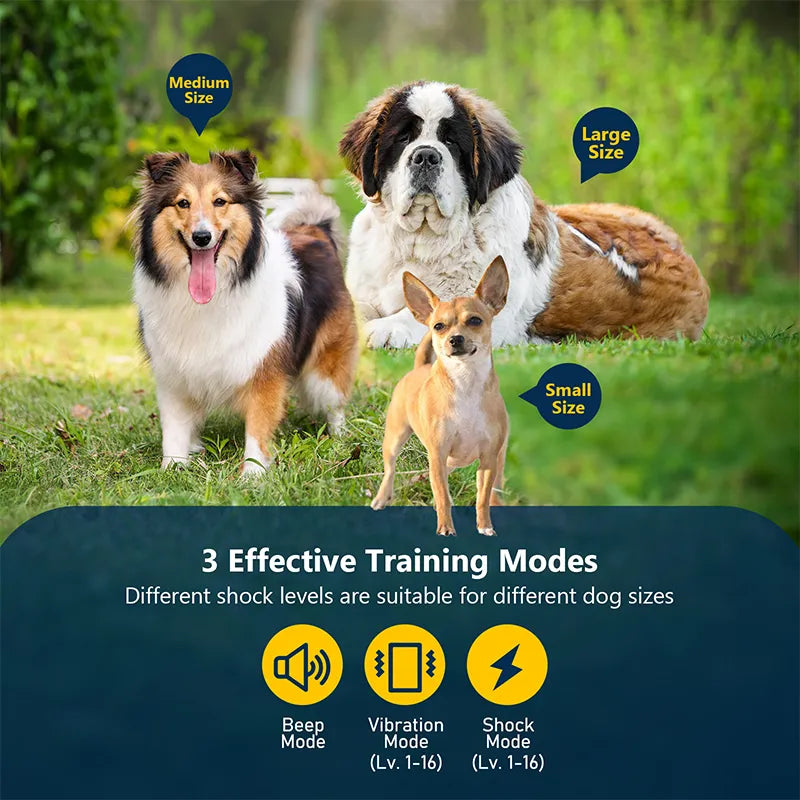 2600FT Smart Dog Training Collar