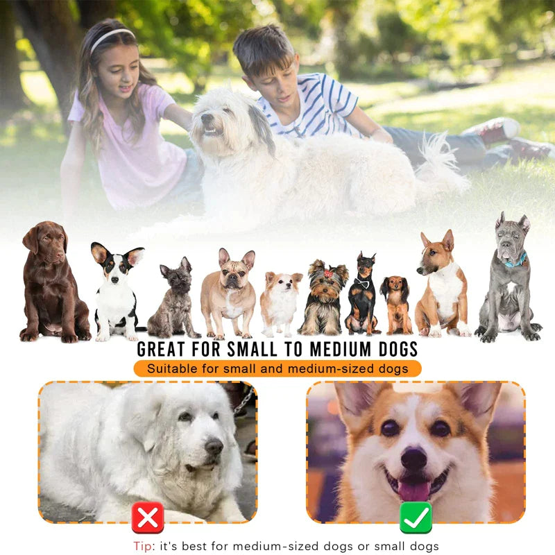 Multi-Function Hands-Free Dog Rope